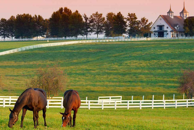 Lexington, KY